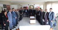 İHSAN KOCA - AK Parti'de Meclis Üyeleri Mazbatalarını Aldı