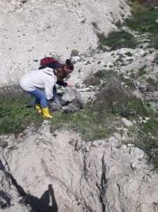 Burdur'da Hayvan Katliamı İddiasıyla İlgili 4 Kişi Hakkında Soruşturma Başlatıldı