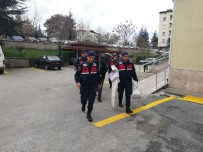 SİLAH FABRİKASI - Silah Operasyonunda Gözaltına Alınan Fabrika Sahibi Tutuklandı