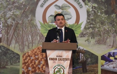 Bakan Pakdemirli Açıklaması 'Fındığın Türkiye'ye Katkısını, 3 Milyar Dolar Olarak Belirledik'
