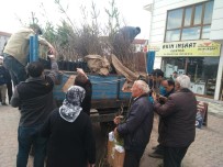 Daday Orman İşletmesi, 6 Bin Adet Fidan Dağıttı