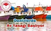 GıRGıR - Denizlerde Av Yasağı Başlıyor