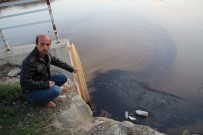 YANMIŞ YAĞ - Oltu Çayına Zift Döktüler