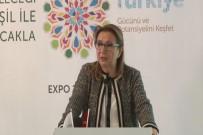 RUHSAR PEKCAN - 'Pekin 2019'A Katılıma Son Derece Önem Verdik'