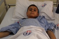 GAZIANTEP ÜNIVERSITESI - Şehidin Organları 3 Kişiye Umut Oldu