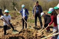 SİYASAL BİLGİLER FAKÜLTESİ - Akçakoca'da 600 Kestane Fidanı Toprakla Buluştu
