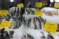 BALIK SEZONU - Balık Sezonu Final Yapıyor