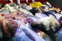 OLTA - Balıkçılar Sezondan Memnun Kaldı