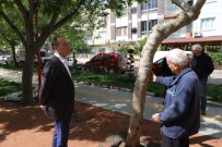 YÜZME HAVUZU - Başkan Akın'dan Hafta Sonu Mesaisi