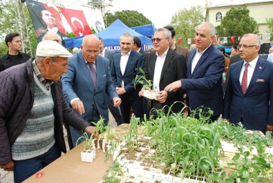 Binlerce Tohum Salihli'de Takas Edildi