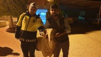 Manisa'da Çalınan Koç 5 Saatte Bulundu