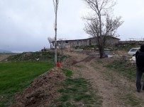 Öldürülen Kardeşlerden Birisinin Hamile Olduğu Belirlendi