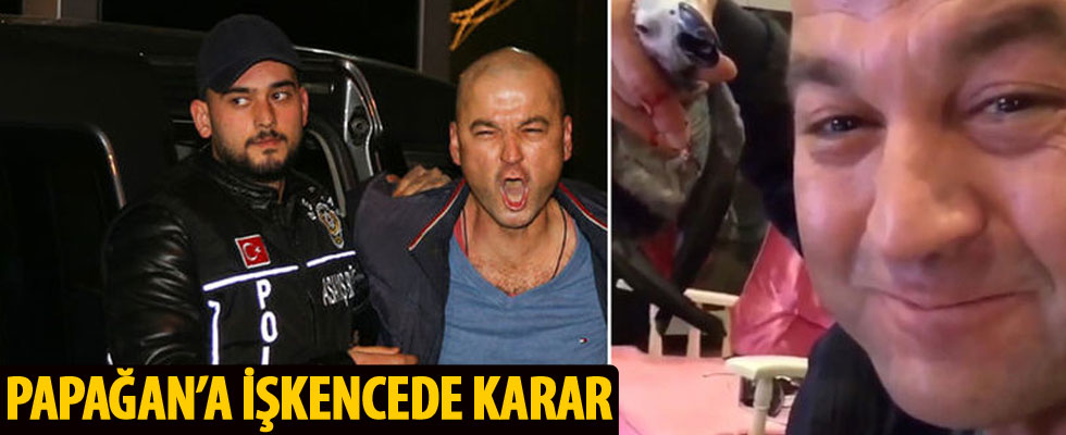 Papağana işkencede karar: 'Kovuşturmaya yer yok!'