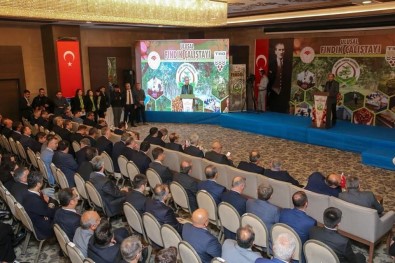 'Ulusal Fındık Çalıştayı' Sonuç Bildirgesi