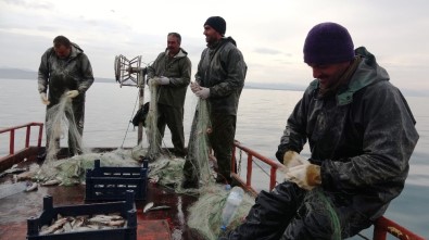 Vanlı Balıkçıların 90 Günlük Av Yasağı Başlıyor
