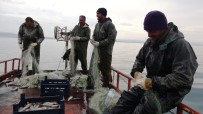 KAÇAK AVCI - Vanlı Balıkçıların 90 Günlük Av Yasağı Başlıyor