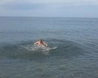 KAMIL AYDıN - Soğuk Havaya Aldırış Etmeden Kulaç Atıp Yüzdü