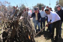 NEVRUZ - Başkan Günel, Nevruz Kutlamalarına Katıldı