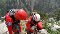 Kayalıklarda Mahsur Kalan 3 Keçi, 6 Saatlik Operasyonla Kurtarıldı Haberi
