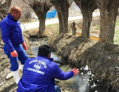 Larvalarla Mücadele Hız Kesmiyor