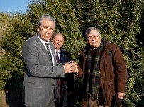 REKTÖR BUDAK - Rektör Budak'tan Girişimcilere Sakız Ağacı Yetiştiriciliği Çağrısı