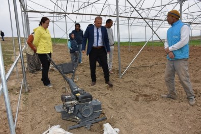 Aksaray'da Tarım Ve Orman Müdürlüğü Ekipleri Seralarda İncelemede Bulundu