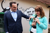 BEYOĞLU BELEDIYESI - Beyoğlu Belediyesi'nden 'Hayvan Hakları' Düzenlemesine Destek
