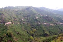 OSMAN BILIR - Bu Köy Borcu Nedeniyle İcralık Oldu