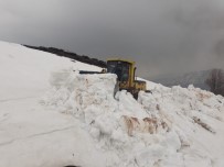 ÇIĞ DÜŞMESİ - Karlıova'da Çığ, Yedisu'da Karla Mücadele