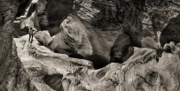 ARIZONA - Ulubey Kanyonu Ve Taşyaran Vadisi Görsel Güzelliği İle Dikkat Çekiyor