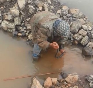 Yılanı Kurtaran Çobanların Cesaretleri Korkuttu