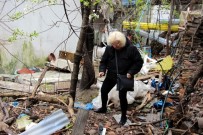 KAÇAK KAZI - Bolu'da, Kedi Vahşeti