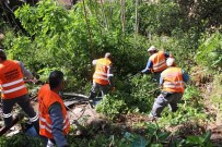 TOPHANE - Büyükşehir'den Tarihi Surlarda Bahar Temizliği