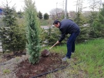 ERCIYES ÜNIVERSITESI - Erciyes Üniversitesi Çocuk Hastanesi'nden Yeşil Çevreye Katkı