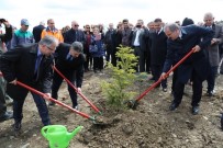 TÜRKİYE KÖMÜR İŞLETMELERİ - Maden Sahasına Sedir