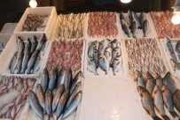 ADNAN POLAT - Mersinli Balıkçılar Sezonu Buruk Kapattı