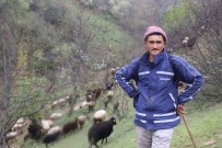 SÜRÜ YÖNETİMİ - Sürüsüne Her Gün Konser Veriyor