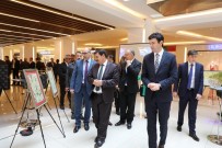 HASAN AKSOY - Turizm Haftası Münasebetiyle Erzincan'da Resim Sergisi Açıldı