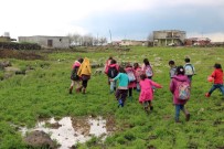 TUANA - Mahallelerinde Yol Olmayan Öğrenciler, 1 Kilometre Yürüyüp Servis Araçlarına Biniyor