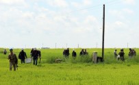 KARAKUYU - Dicle Elektrik Borçlu Abonelerin Elektriğini Kesmeye Başladı