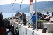 OLTA - (Özel) Olta Balıkçıları Bilinçsiz Avlanmadan Dert Yanıyor