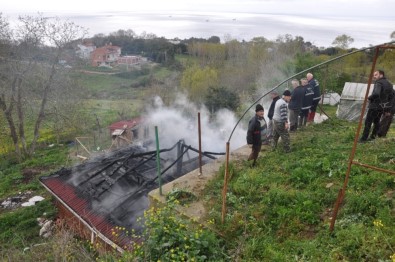 Sinop'ta Ahır Yangını Açıklaması 5 Hayvan Telef Oldu