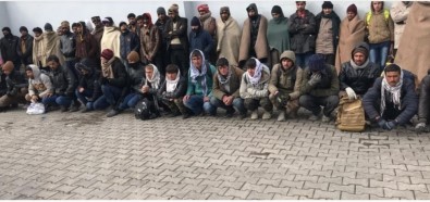 Başkale'de 132 Kaçak Göçmen Yakalandı