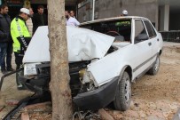 ALI RıZA SEPTIOĞLU - Elazığ'da Otomobil Ağaca Çarptı Açıklaması 4 Yaralı