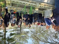 SAMI DINÇ - Gazeteci-Yazar Hasan Ataman Mezarı Başında Anıldı