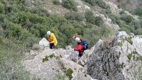 Kayalıkta Mahsur Kalan 13 Keçi Bir Haftadır Kurtarılmayı Bekliyor Haberi