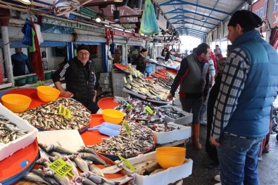 Tezgahlarda Balık Çeşitliliği Arttı, Fiyat Düştü