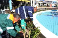 BARBAROS HAYRETTİN PAŞA - Kuşadası Hızlı Bir Şekilde Turizm Sezonuna Hazırlanıyor