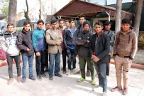 KÖTÜLÜK - Midyat'ta 3 Günde 49 Kaçak Göçmen Yakalandı