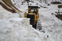 KAR KALINLIĞI - Muş'ta Karla Mücadele Sürüyor